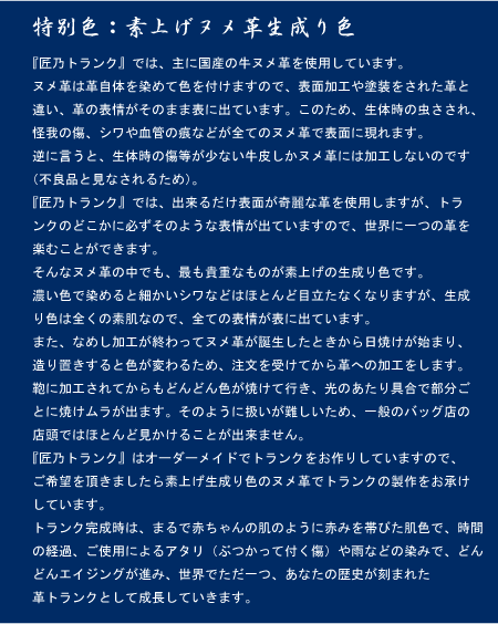ʐF